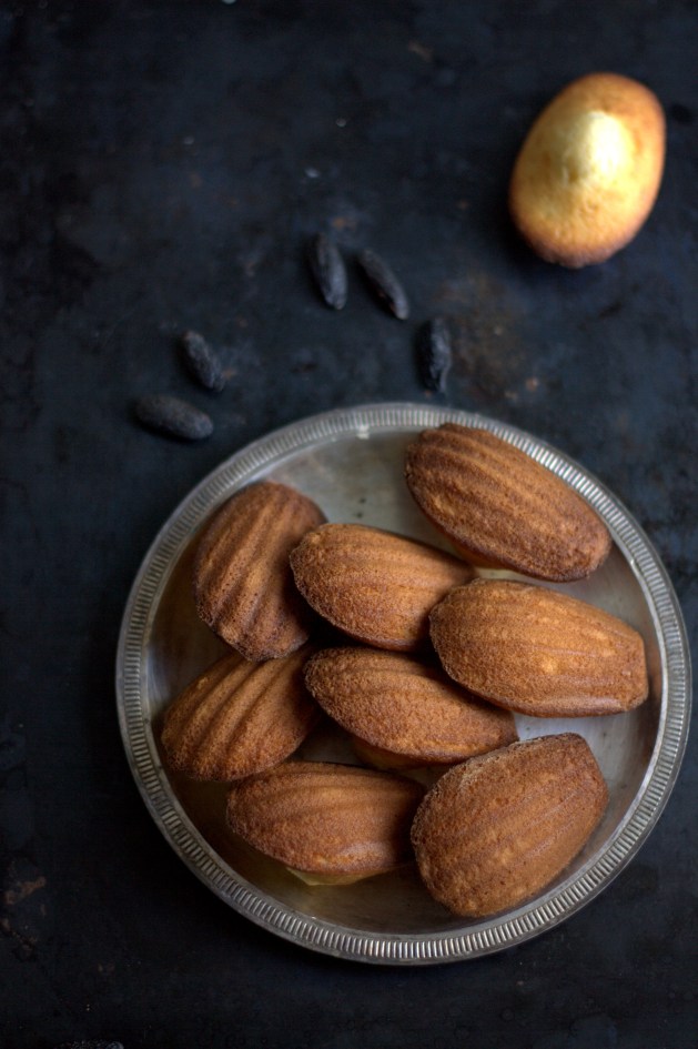 Madeleines Fève Tonka