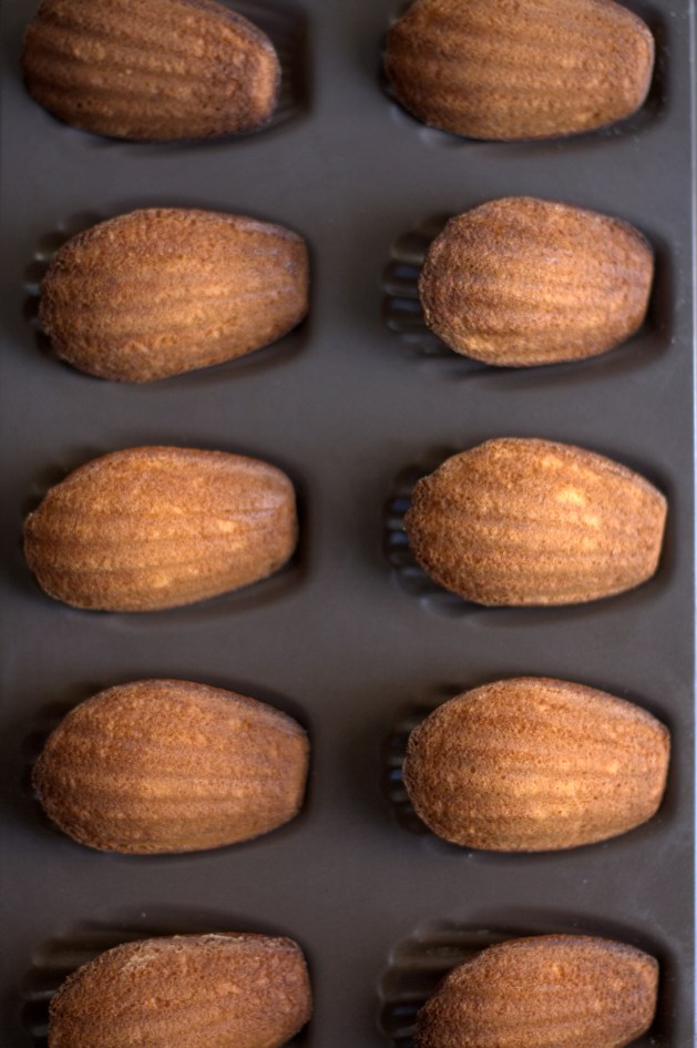 Madeleines Fève Tonka
