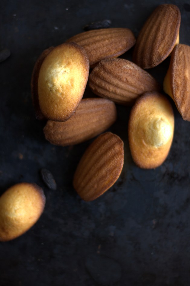 Madeleines Fève Tonka