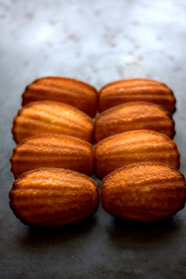 madeleine-au-citron-2