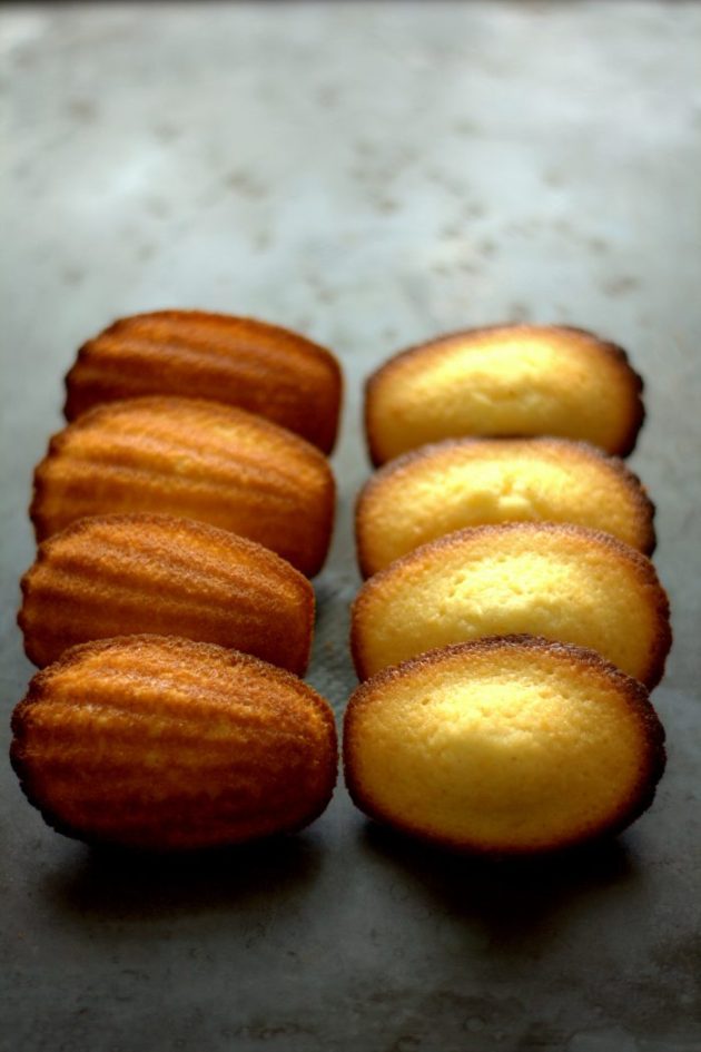madeleine-au-citron-3