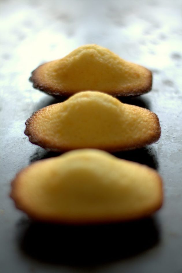 madeleine-au-citron