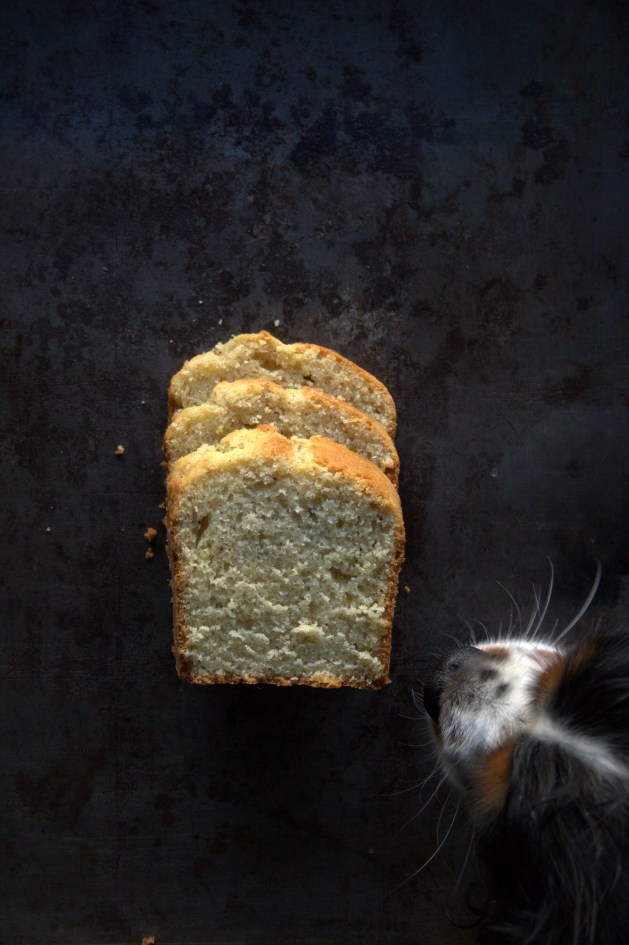 cake ultra moelleux de sarah